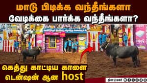 1 நிமிடத்துக்கு மேல் களத்தில் நின்ற காளை; சிதறி ஓடிய வீரர்கள்  