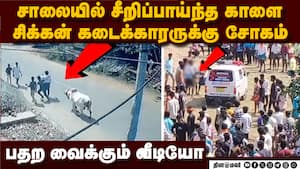சாலையில் தறிகெட்டு ஓடிய காளை:பேரன்கள் முன் தாத்தாவுக்கு சோகம் Man dies manju virattu sivagangai abd