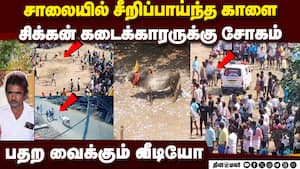 சாலையில் தறிகெட்டு ஓடிய காளை:பேரன்கள் முன் தாத்தாவுக்கு சோகம் Man dies manju virattu sivagangai abd