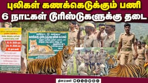 மாவட்ட செய்திகள் மாலை 4 மணி   