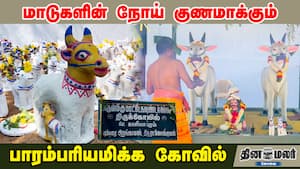 மாடுகளின் நோய் குணமாக்கும் பாரம்பரியமிக்க கோவில்  