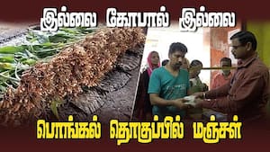 பொங்கல் தொகுப்பில் செங்கரும்பு, மஞ்சள் கொத்து, வேட்டி, சேலை மிஸ்ஸிங் | Turmeric farmers worried
