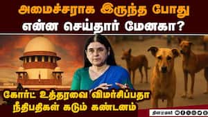 தெருநாய்களை கட்டுப்படுத்தும் வழக்கு விசாரணையில் மேனகா தரப்பு வக்கீலுக்கு சுப்ரீம் கோர்ட் கண்டனம்