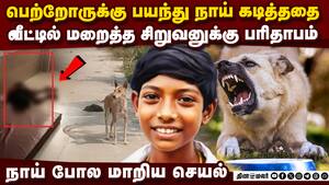வெறிநாய் கடித்து முற்றிய ரேபிஸ்: சிறுவனின் இறுதி நிமிடங்கள்  