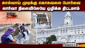 இனி கொசு எப்படி தப்பும்? நூதன முயற்சியில் சென்னை மாநகராட்சி  