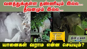 வனத்துக்குள்ள தண்ணியும் இல்ல... தீவனமும் இல்ல... யானைகள் வராம என்ன செய்யும்?