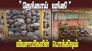 காட்டு யானைகள் தொல்லைக்கு விடை கொடுக்கும் தேங்காய் வங்கி  