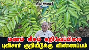 மணம் வீசும் கறிவேப்பிலை | புவிசார் குறியீடுக்கு விண்ணப்பம்