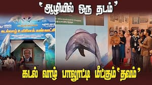 கோவையில் கடல் வாழ் உயிரினக் கண்காட்சி  