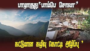 பாதுகாப்பு ஏற்பாட்டில் கோட்டை விடும் வனத்துறை  