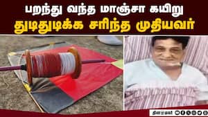 சென்னை மீண்டும் தலைதூக்கும் மாஞ்சா கலாச்சாரம்  