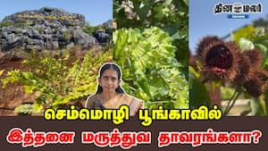 செம்மொழி பூங்காவில் இத்தனை மருத்துவ தாவரங்களா?