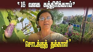 வகுப்பறையில் பாடம்; மாடியில் விவசாயம் அசத்தும் முனைவர்.சுப்புலட்சுமி  