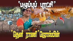 விருதுகளுக்கு பெருமை சேர்க்கும் ‛மதுரை தேனீ ராணி' ஜோஸ்பின்  