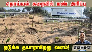 நொய்யல் கரையில் மண் அரிப்பு | தடுக்க தயாராகிறது வனம்! நொய்யல் கரையில் மண் அரிப்பு | தடுக்க தயாராகிறது வனம்!