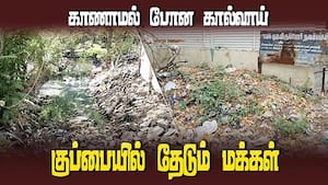 அழுகிய கோழிக்கழிவுகள், குப்பைகளால் தூர்ந்து போன பாசனக்கால்வாய் | garbage city
