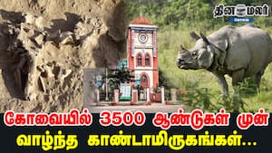 கோவையில் 3500 ஆண்டுகள் முன் வாழ்ந்த காண்டாமிருகங்கள்...