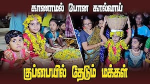 ஆவாரம் பூக்களால் நிலா பெண் சிறுமிக்கு அலங்காரம் செய்து வழிபாடு | Vedasandur