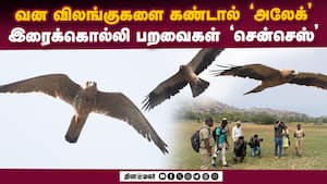 மாவட்ட செய்திகள் மாலை 4 மணி   