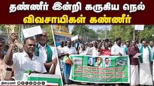 மாவட்ட செய்திகள் 4PM | 10-02-2026