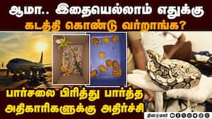 தாய்லாந்து உயிரினங்கள் ஏர்போர்ட்டில் பறிமுதல்   