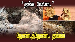 பூமியை குடைந்து தங்க வேட்டை  