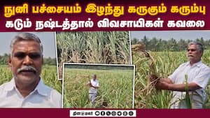 ஏக்கருக்கு ₹60,000 செலவு செய்து பயனில்லை  