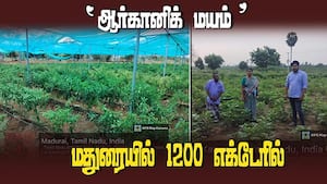 நஞ்சில்லா வேளாண், தோட்டக்கலை பயிர்கள் சாகுபடி  