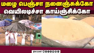 நெல் கொள்முதல் செய்யாததால் விவசாயிகள் வேதனை நெல் கொள்முதல் செய்யாததால் விவசாயிகள் வேதனை