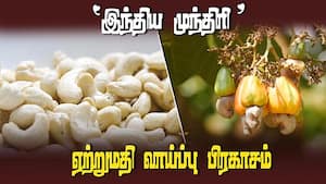 முந்திரியை அரசு ஊக்கவிக்க வலியுறுத்தல் | The TN government can promote cashew production Tamil Nadu