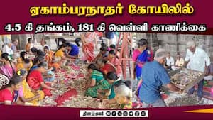 மாவட்ட செய்திகள்  