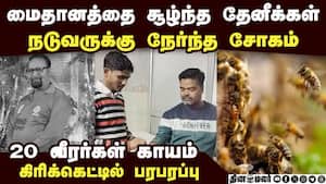 தேனீக்கள் கடித்து நடுவர் மரணம்: வீரர்கள், ரசிகர்கள் அதிர்ச்சி  Bee attack  