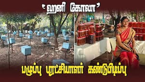 மருத்துவ குணமிக்க ‛சோடா தேன்' | A new initiative by a brown revolutionary மருத்துவ குணமிக்க ‛சோடா தேன்' | A new initiative by a brown revolutionary