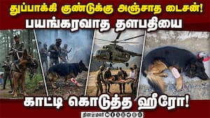 குண்டடி பட்டும் கடமை தவறாத மோப்ப நாய்! குண்டடி பட்டும் கடமை தவறாத மோப்ப நாய்!