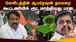 இலையை மறைக்கும் தாமரை: அதிமுக-பாஜ கூட்டணியில் நடந்தது என்ன?   