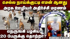நாய்க்குட்டிதானே என அலட்சியம் மின் ஊழியர் மரணம்: பகீர் தகவல் dog bite puppy minor dog TNEB dies rabi நாய்க்குட்டிதானே என அலட்சியம் மின் ஊழியர் மரணம்: பகீர் தகவல் dog bite puppy minor dog TNEB dies rabi