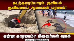உடனே நடவடிக்கை எடுக்க வனத்துறை அறிவுறுத்தல்  