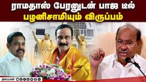 முரசு நழுவியதால் மாம்பழத்தை ஒன்று சேர்க்க முயற்சி  