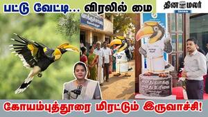 ஒரே துணை... ஒரே குறிக்கோள் - இருவாச்சி சொல்லும் ஜனநாயகம்! ஒரே துணை... ஒரே குறிக்கோள் - இருவாச்சி சொல்லும் ஜனநாயகம்!