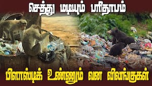 செத்து மடியும் பரிதாபம் பிளாஸ்டிக் உண்ணும் வன விலங்குகள்