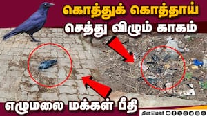 கால்நடை, சுகாதார அலுவலர்கள் ஆய்வு  