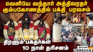 அருள் பாலிக்கும் அத்திவரதர் கும்பகோணத்தில் கோலாகலம் Varadharaja Perumal Temple, Kumbakona