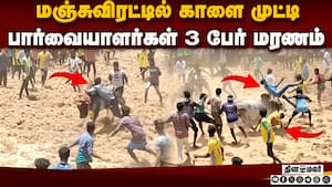அரளிப்பாறை மஞ்சுவிரட்டில் சோகம்! 50க்கும் அதிகமானோர் காயம்  
