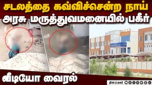 சடலத்தை கவ்விச்சென்ற நாய் அரசு ஆஸ்பிடலில் பகீர் சம்பவம்  
