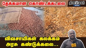 தேக்கமான கொண்டக்கடலை... விவசாயிகள் கலக்கம்  