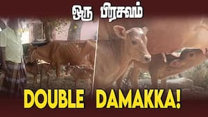 1% மட்டுமே நடக்கும் அதிசய நிகழ்வு 