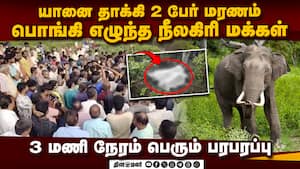 யானை தாக்கி 2 பேர் மரணம்:மக்கள் போராட்டத்தால் பதற்றம் elephant attack 2 dies people protest ravi li யானை தாக்கி 2 பேர் மரணம்:மக்கள் போராட்டத்தால் பதற்றம் elephant attack 2 dies people protest ravi li
