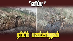 பொதுப்பணித்துறை நிலத்தில் அத்துமீறல்  