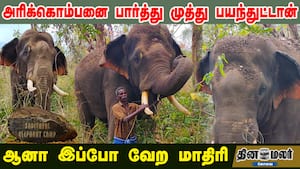 அரிக்கொம்பனை பார்த்து முத்து பயந்துட்டான்... ஆனா இப்போ வேற மாதிரி