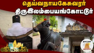 என்றும் இளமையும், பேரழகையும் தரும் தெய்வீக ஸ்தலம் | நம்ம ஊரு கோயில்கள் என்றும் இளமையும், பேரழகையும் தரும் தெய்வீக ஸ்தலம் | நம்ம ஊரு கோயில்கள்